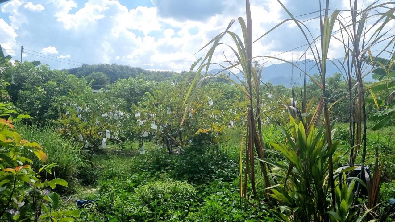 ภาพประกอบที่ 1