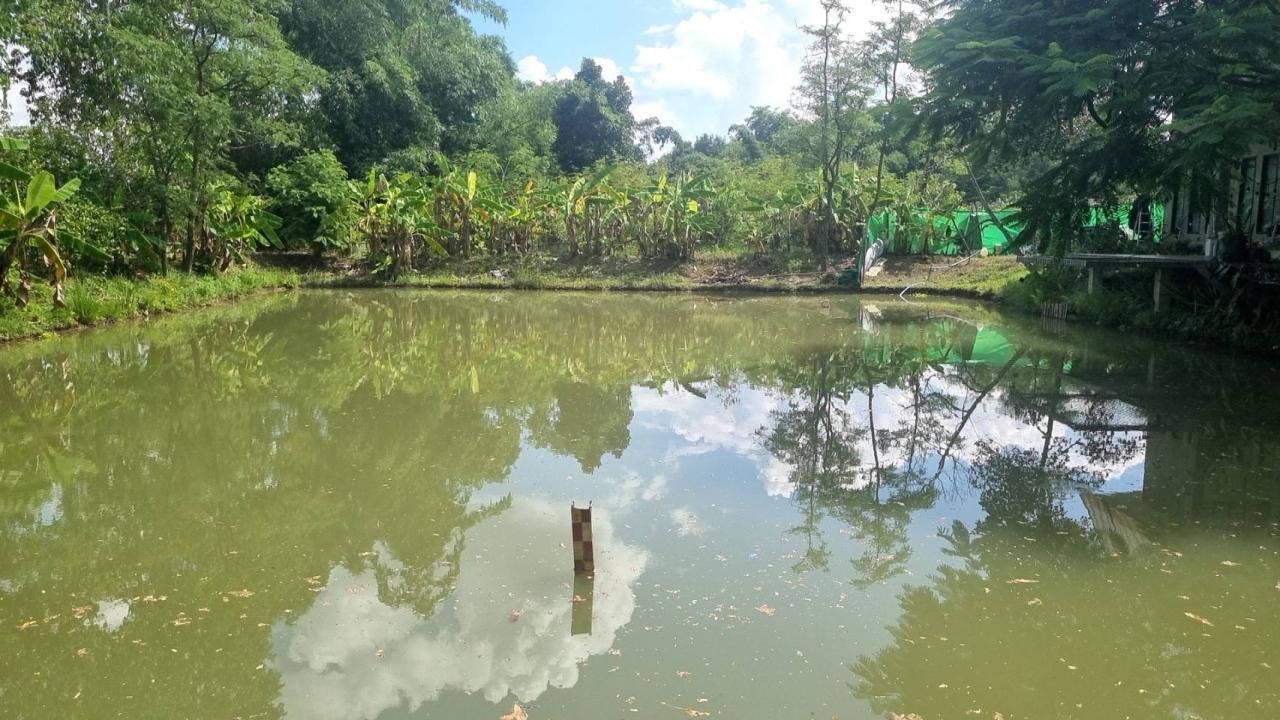 ภาพประกอบที่ 3