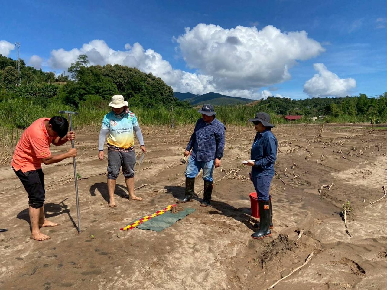 ภาพประกอบที่ 0