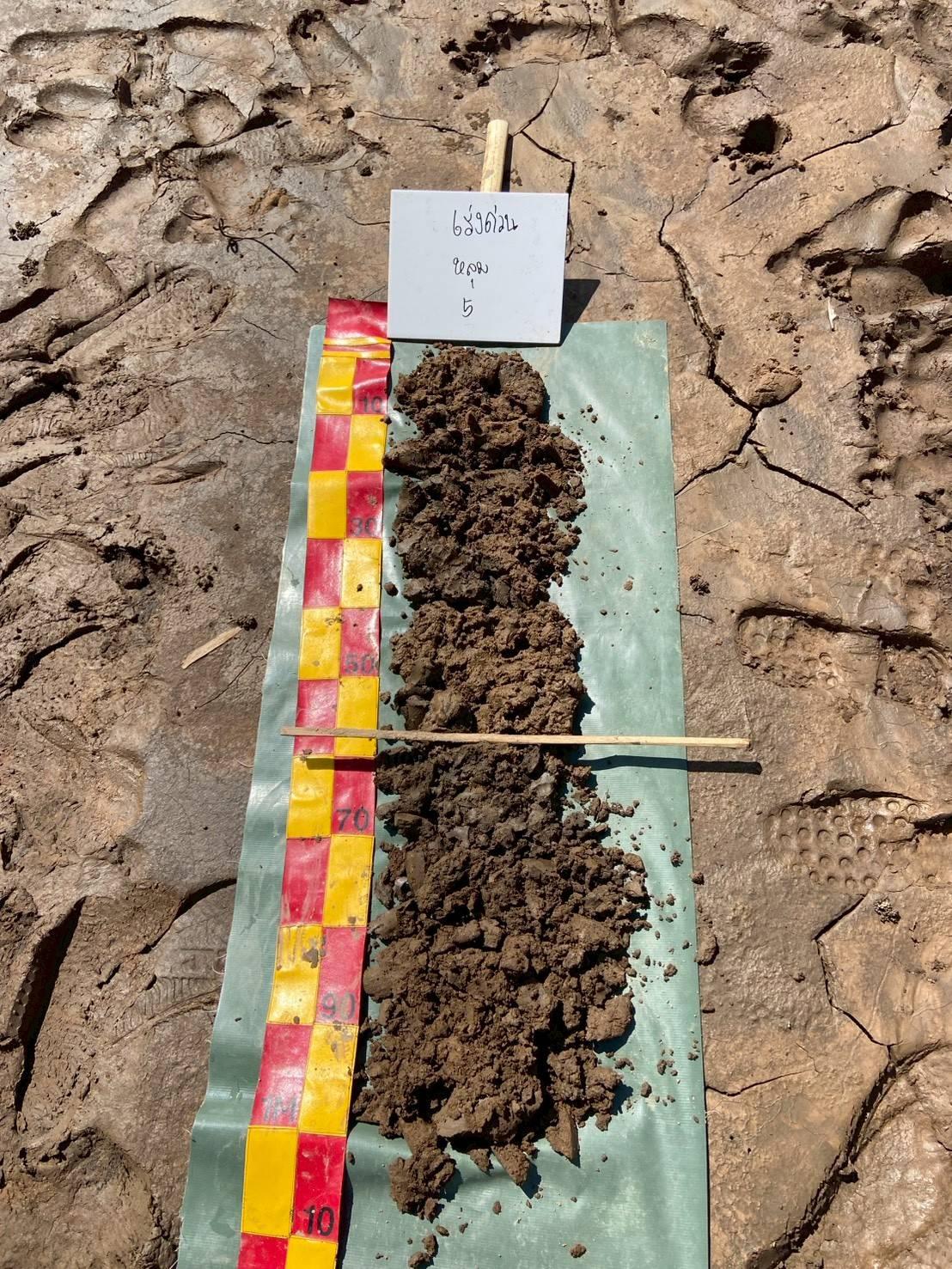 ภาพประกอบที่ 1