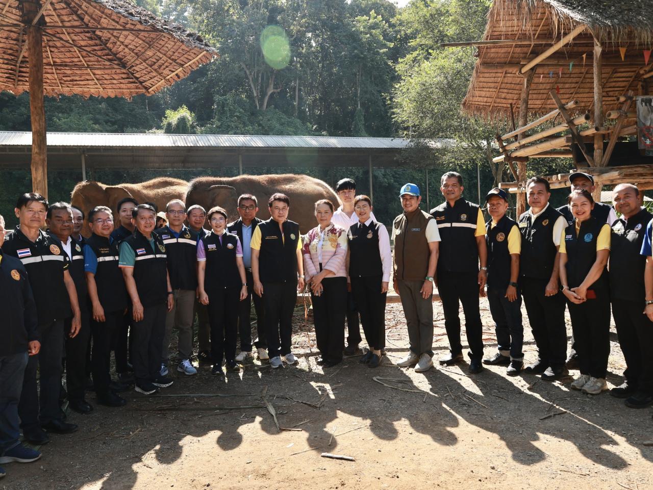 ภาพประกอบที่ 12