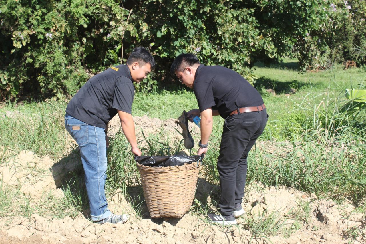 ภาพประกอบที่ 10