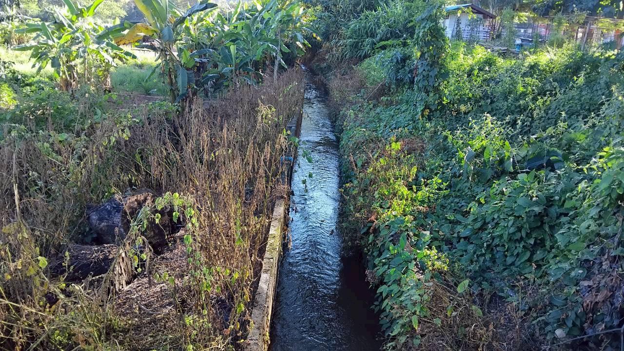 ภาพประกอบที่ 10