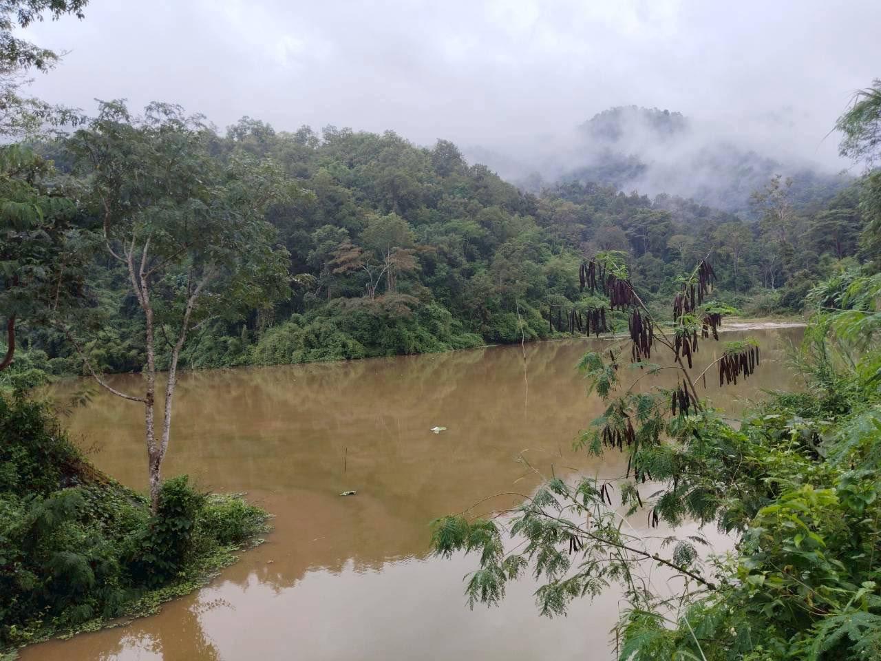 ภาพประกอบที่ 11