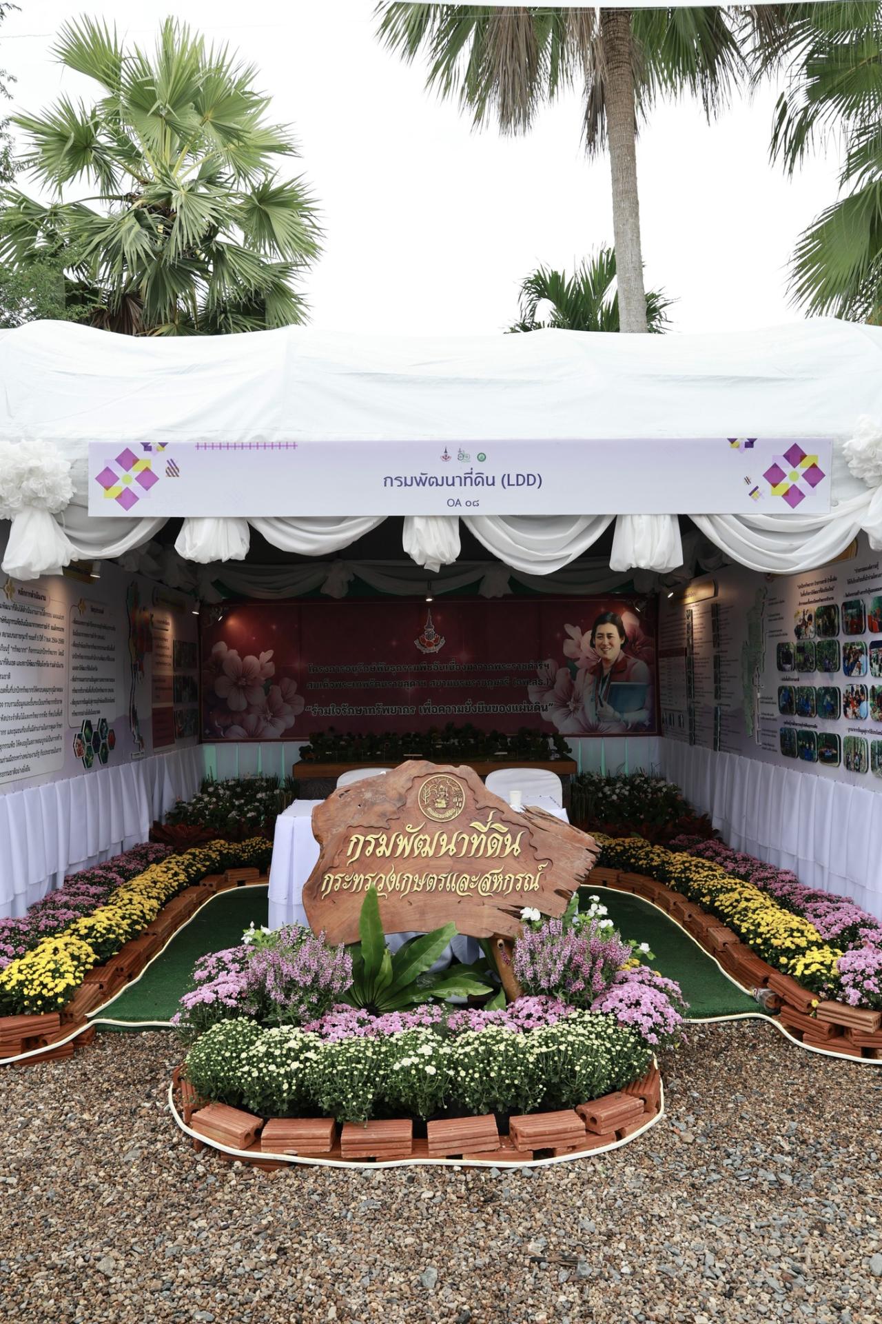 ภาพประกอบที่ 3