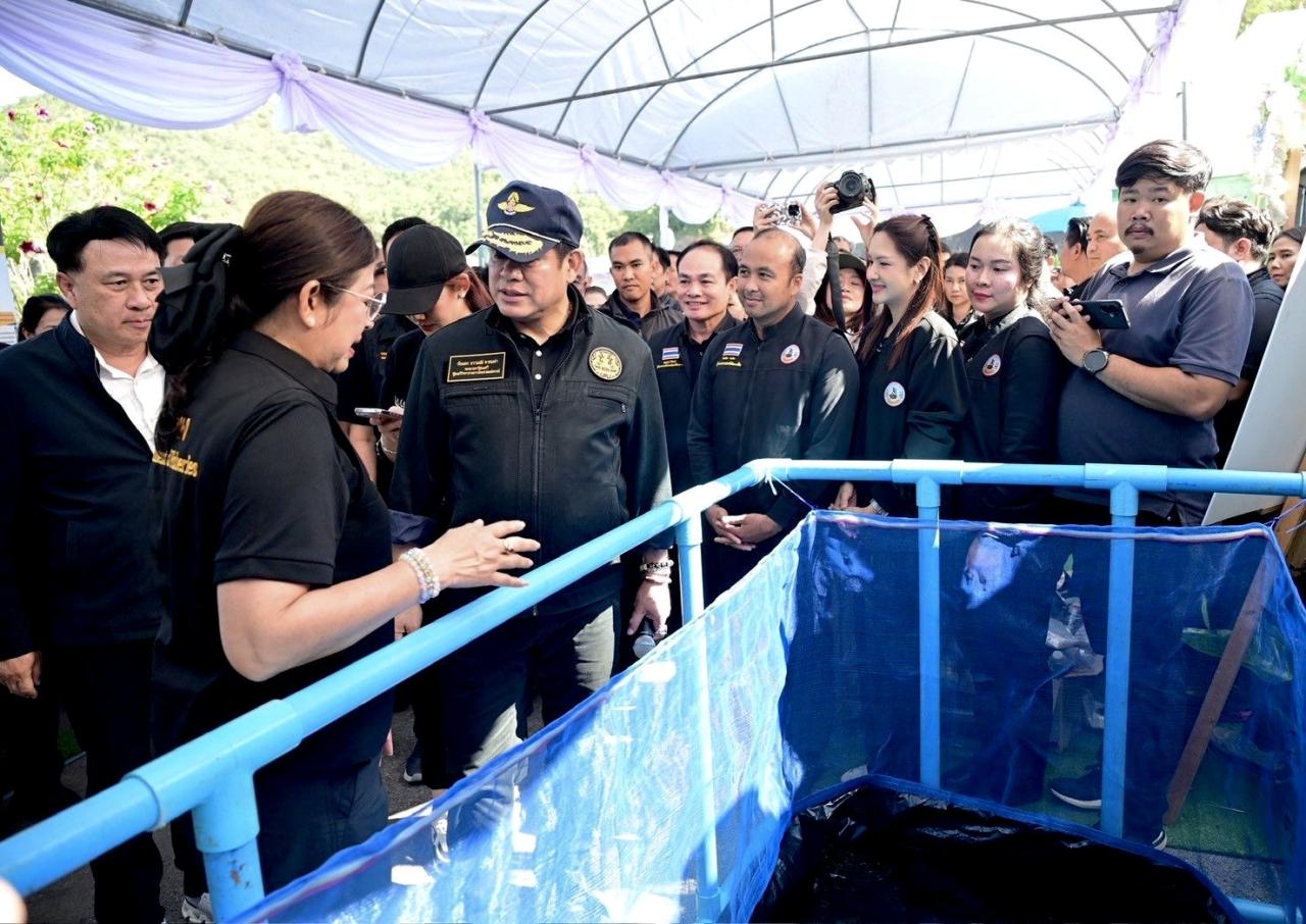 ภาพประกอบที่ 11