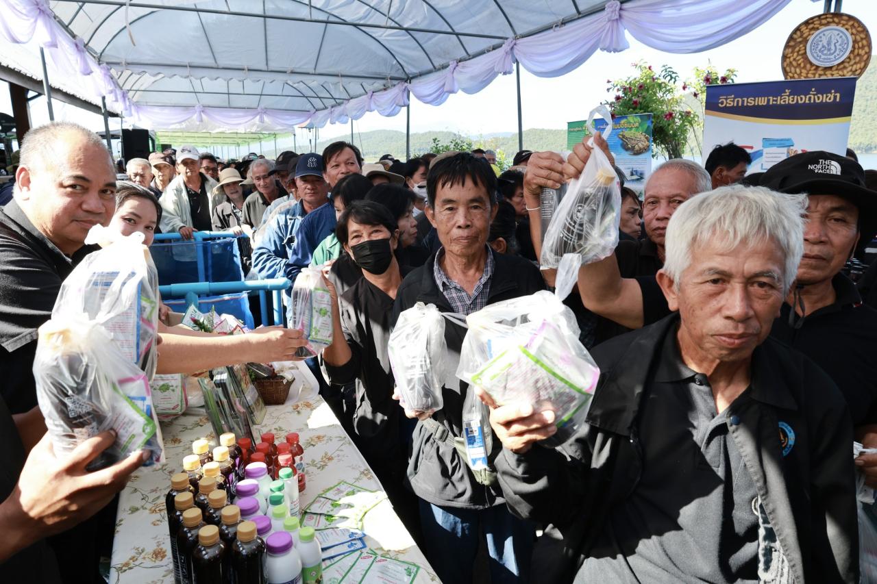 ภาพประกอบที่ 15