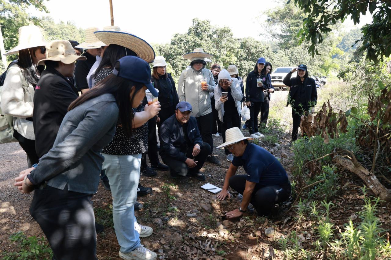 ภาพประกอบที่ 20