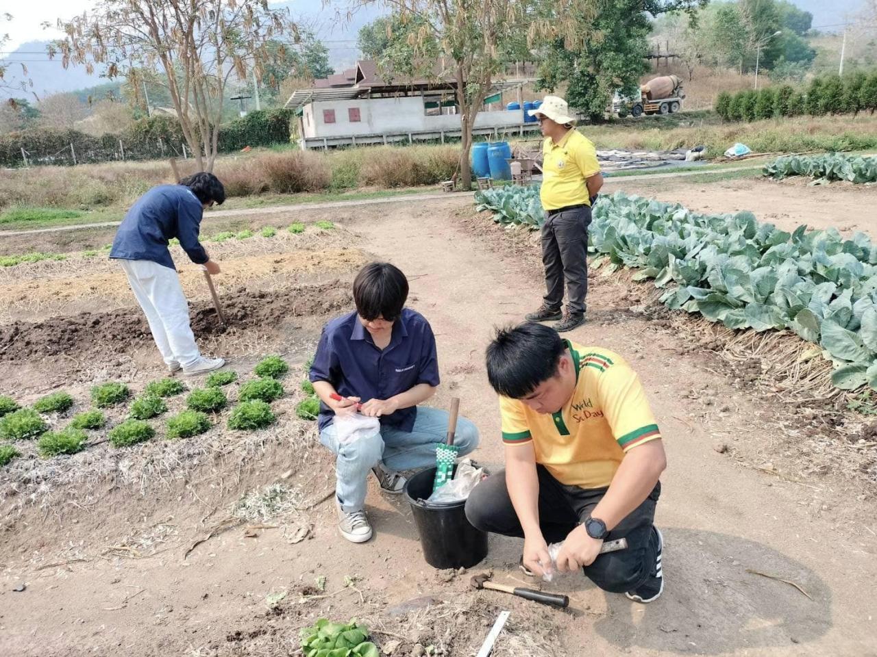ภาพประกอบที่ 0