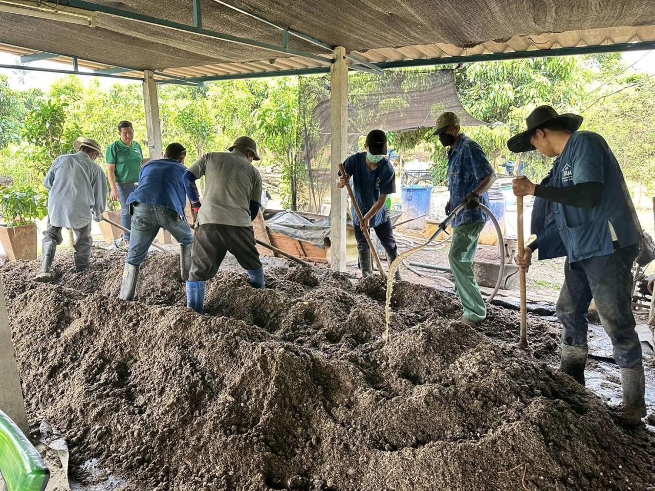 ภาพประกอบที่ 6