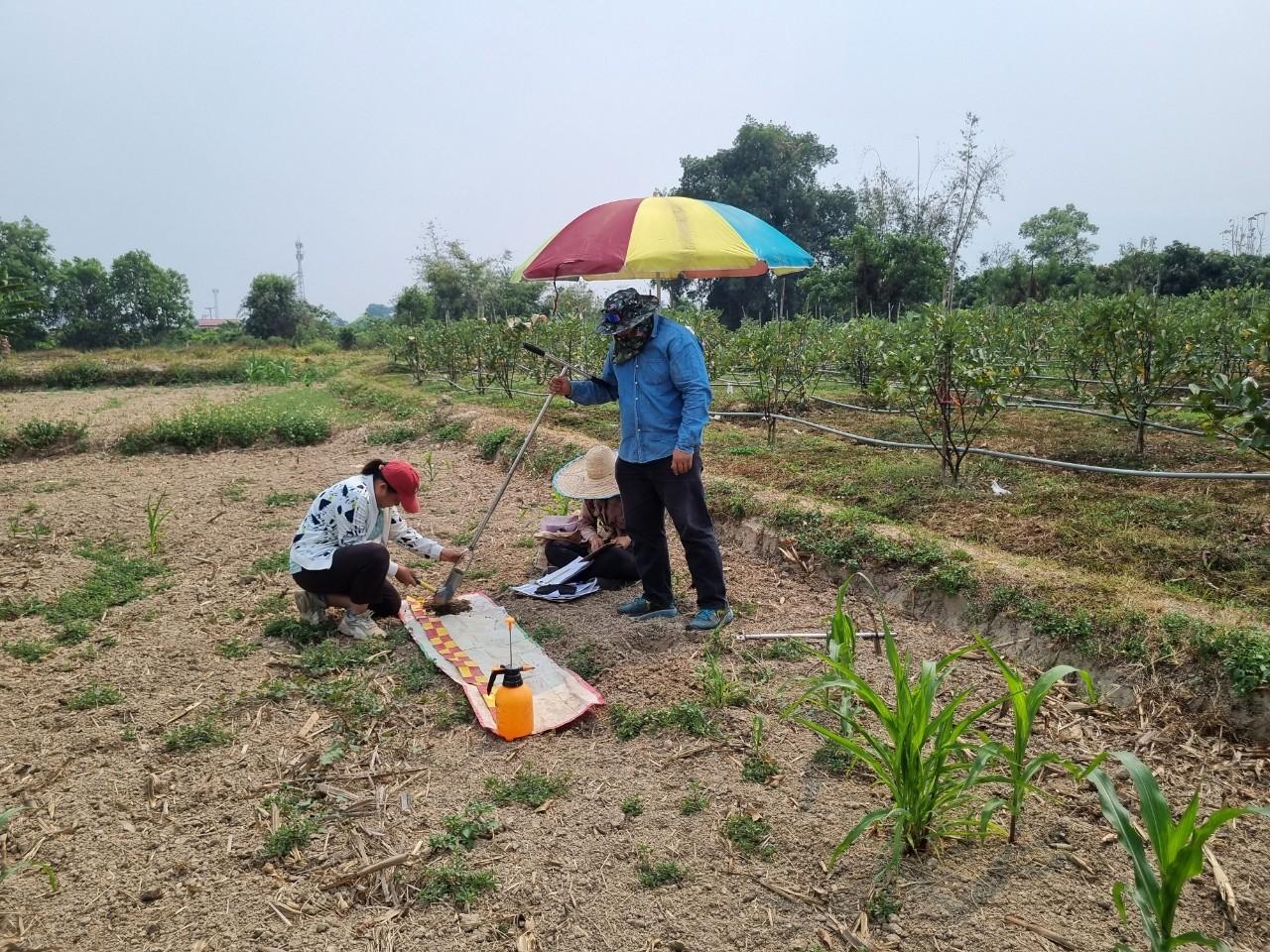 ภาพประกอบที่ 0