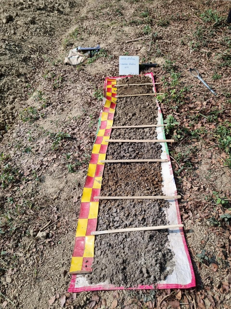 ภาพประกอบที่ 2