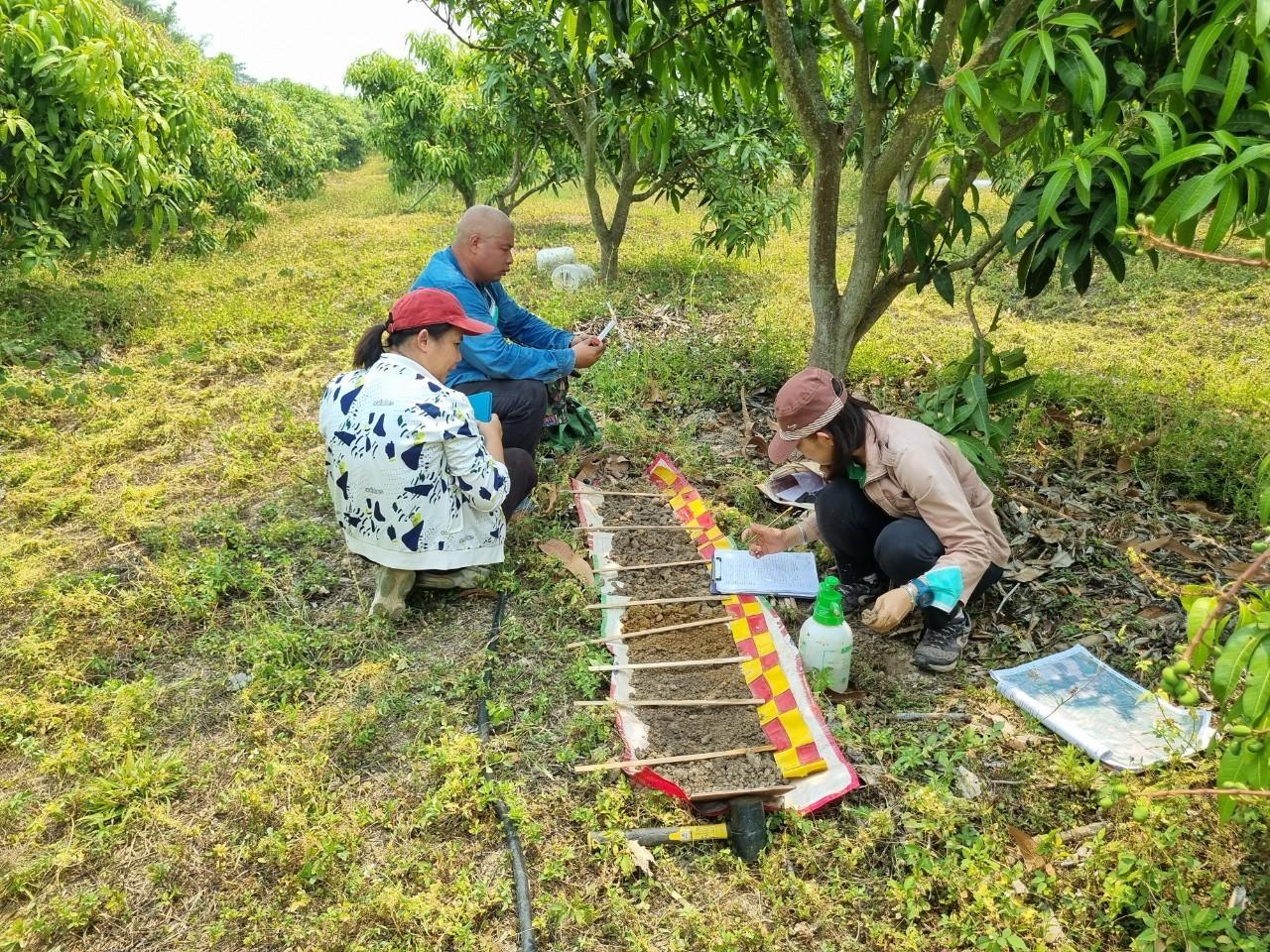 ภาพประกอบที่ 3