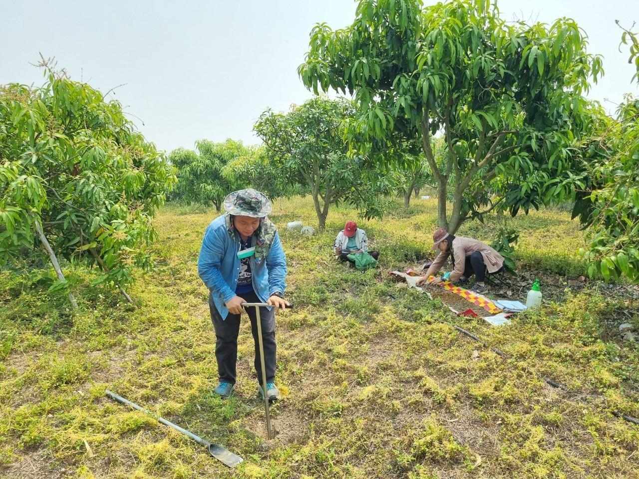 ภาพประกอบที่ 4