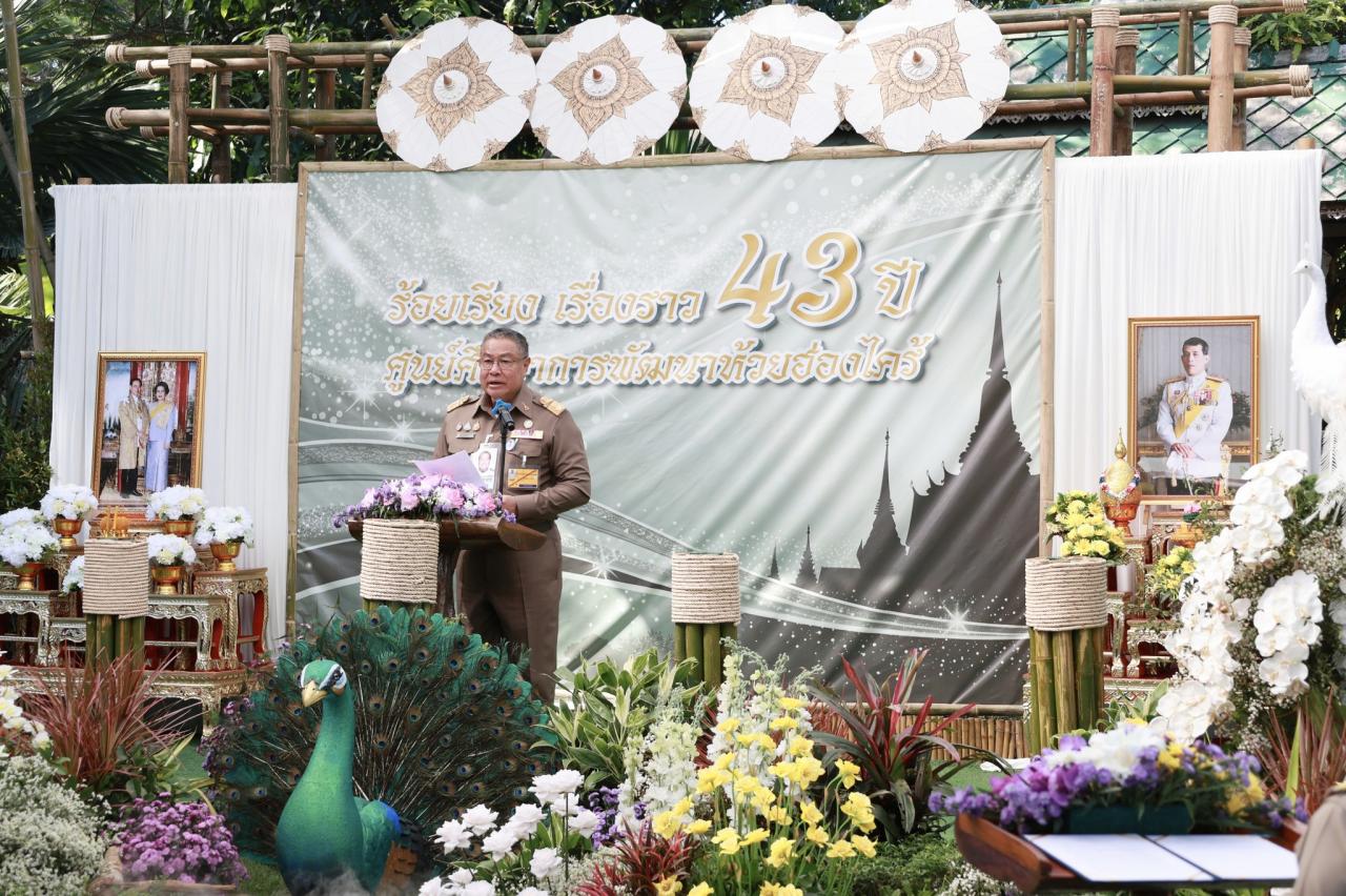 ภาพประกอบที่ 19