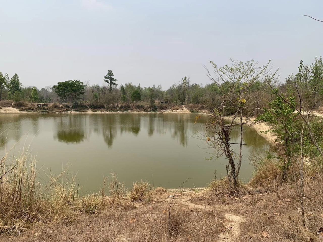 ภาพประกอบที่ 0