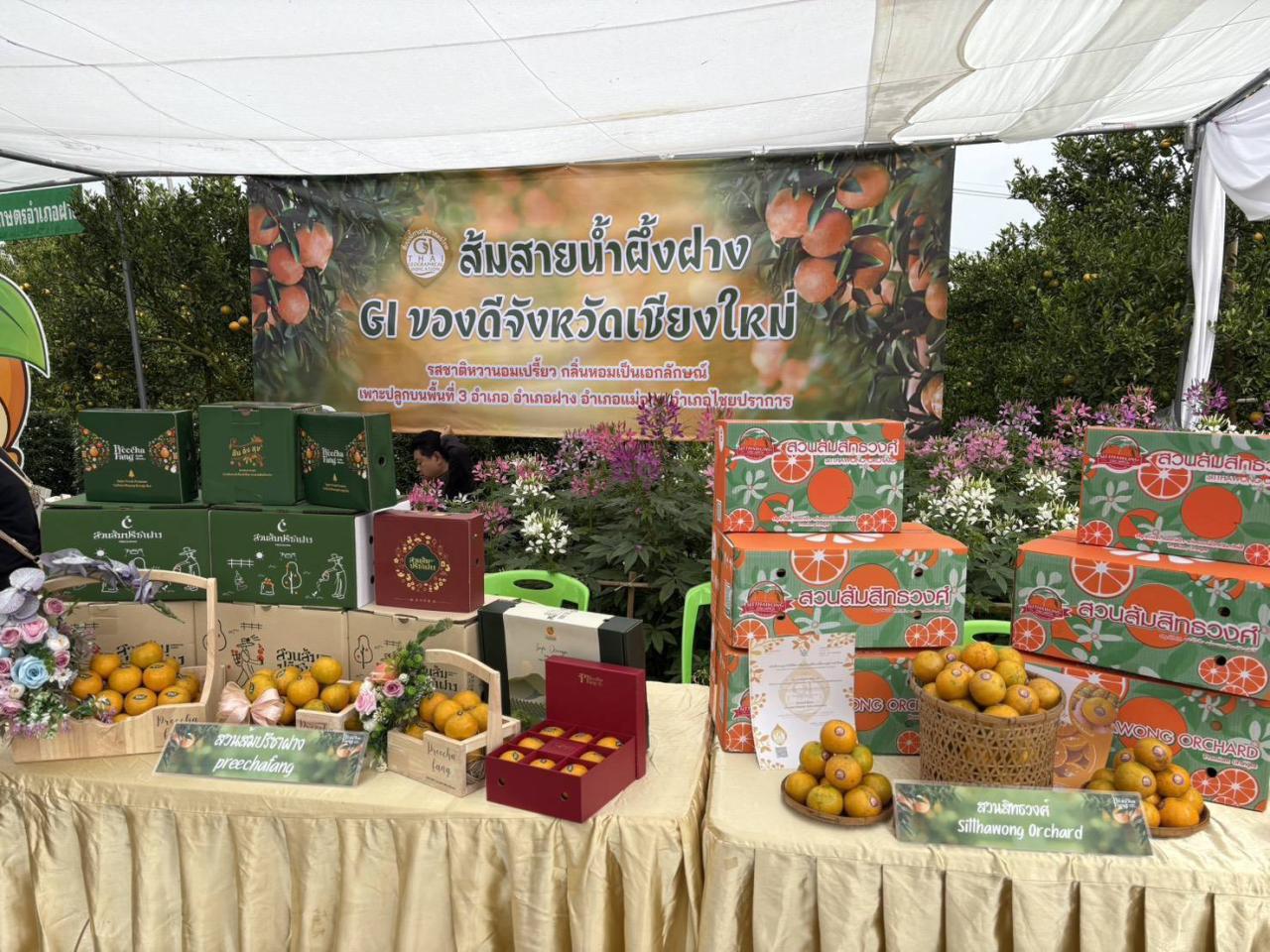 ภาพประกอบที่ 5