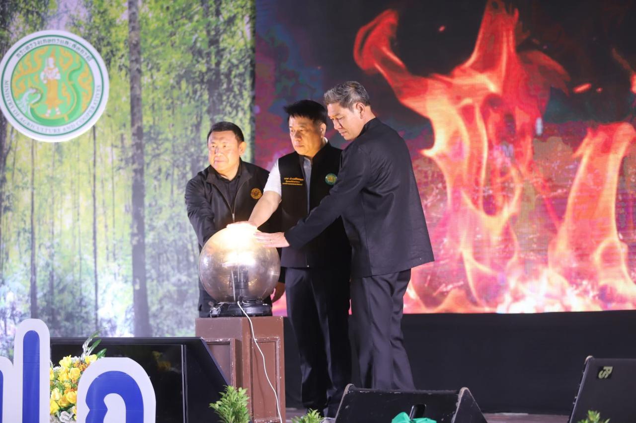 ภาพประกอบที่ 19