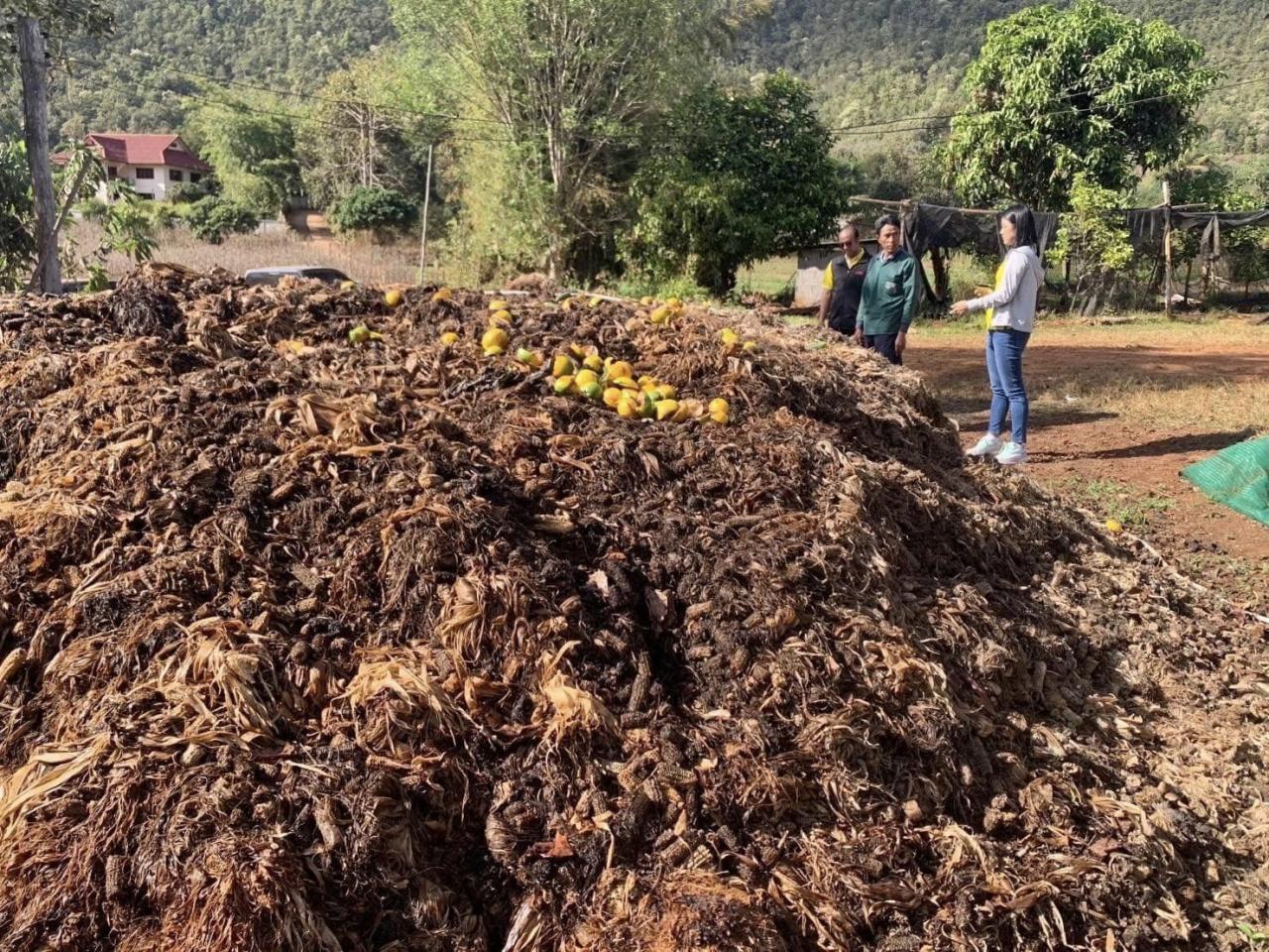ภาพประกอบที่ 2