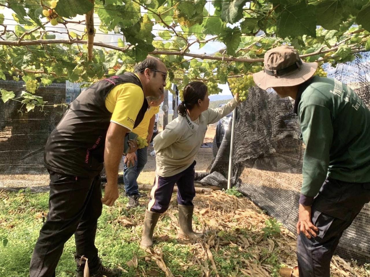 ภาพประกอบที่ 3