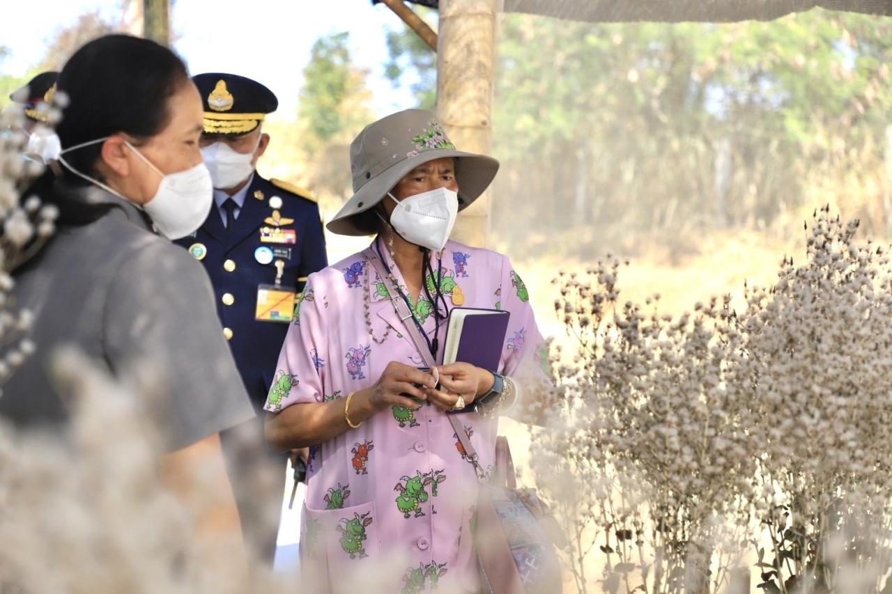 ภาพประกอบที่ 4