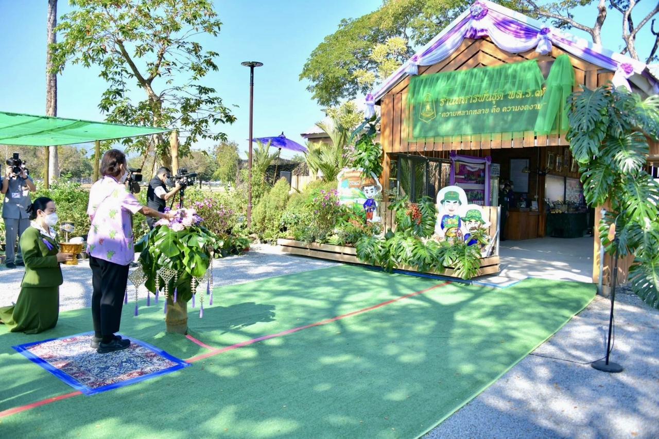 ภาพประกอบที่ 5