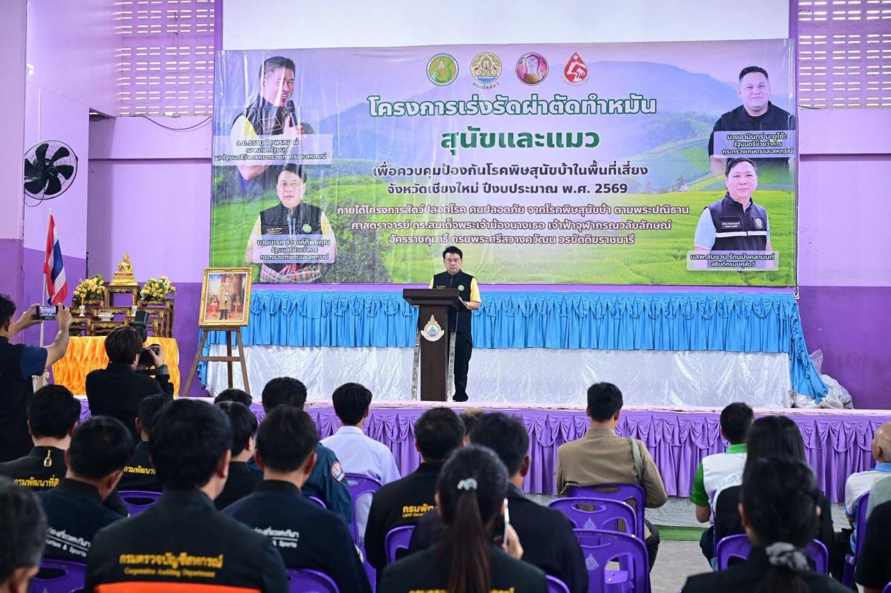 ภาพประกอบที่ 8