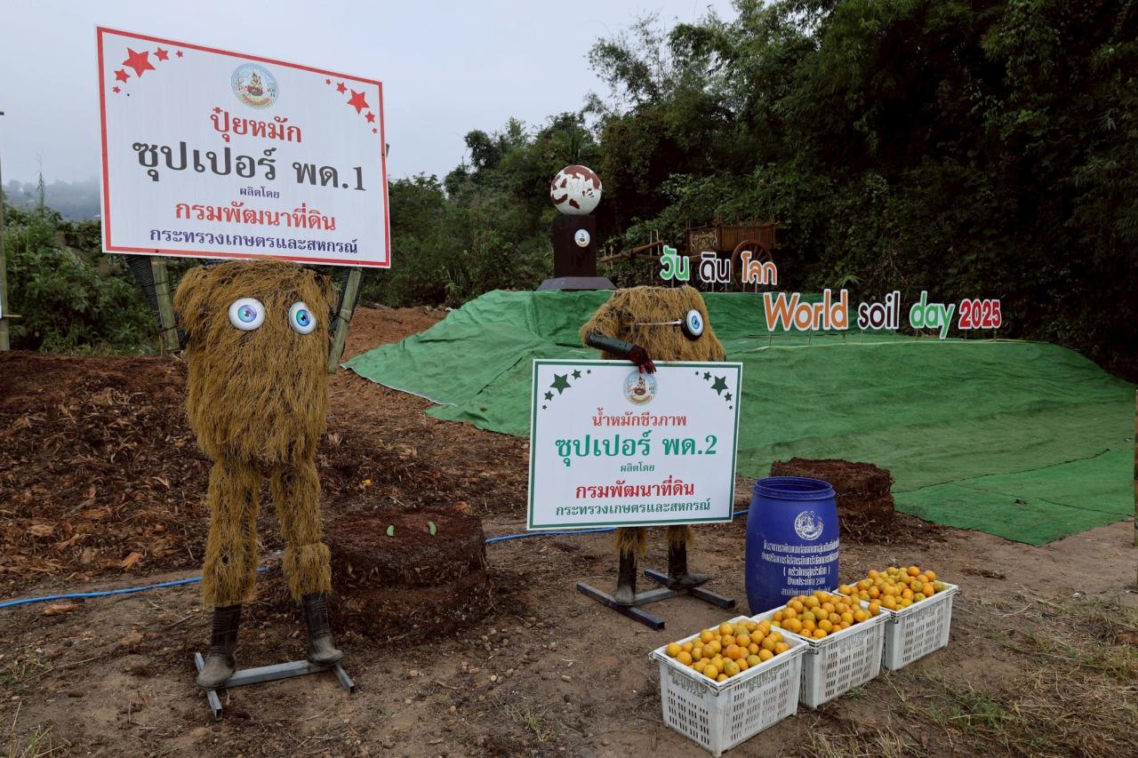 ภาพประกอบที่ 10