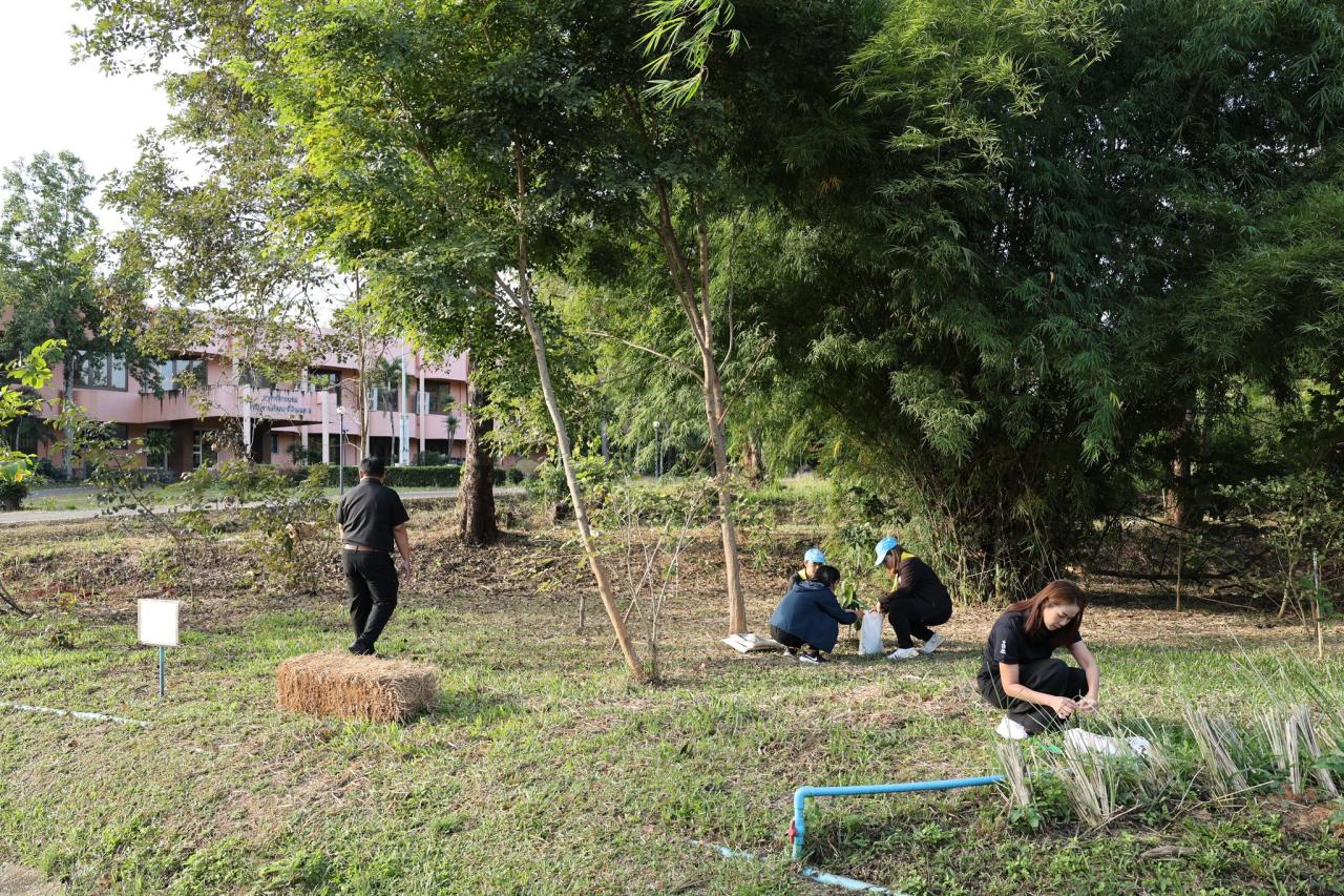 ภาพประกอบที่ 27