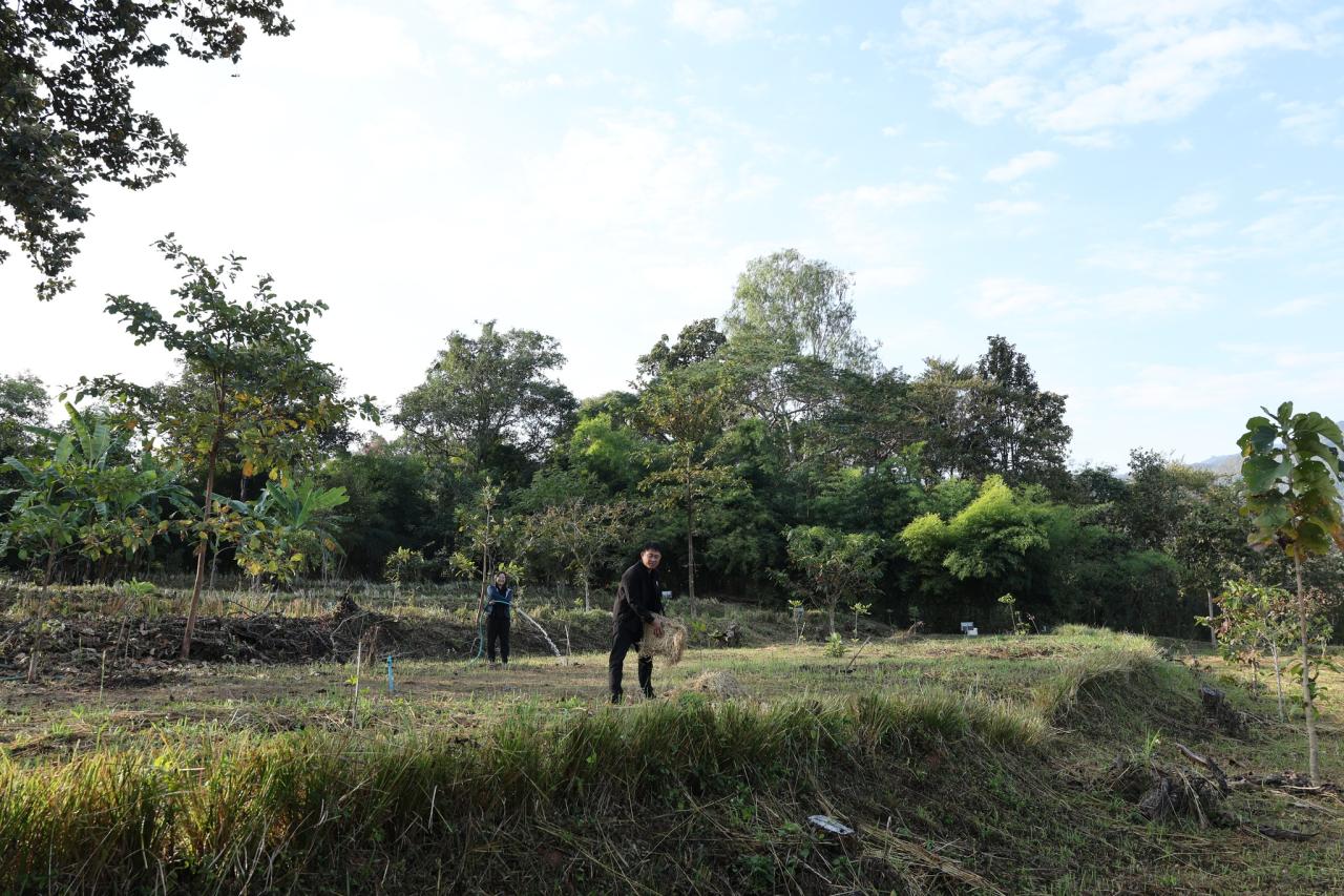 ภาพประกอบที่ 11
