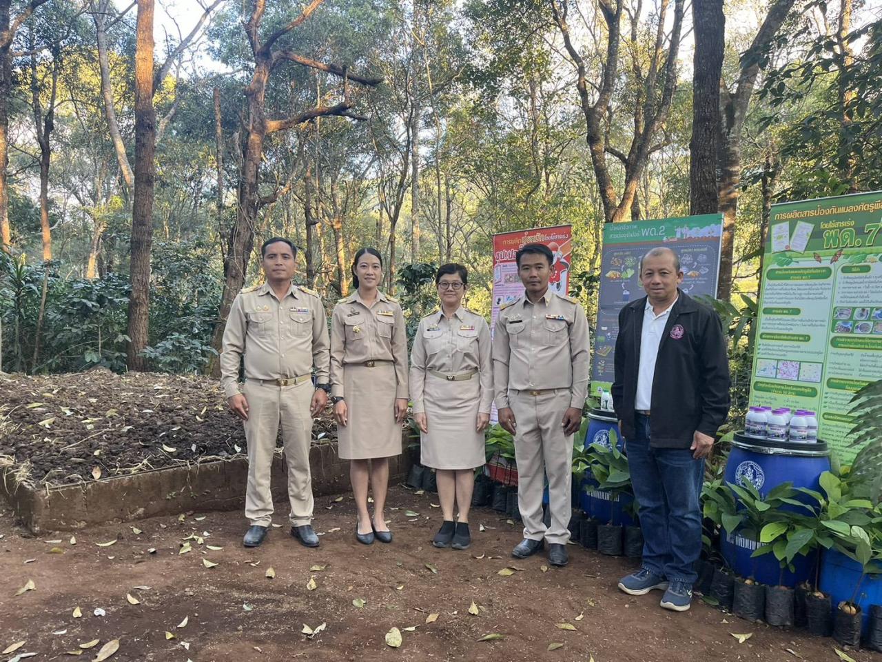 ภาพประกอบที่ 11