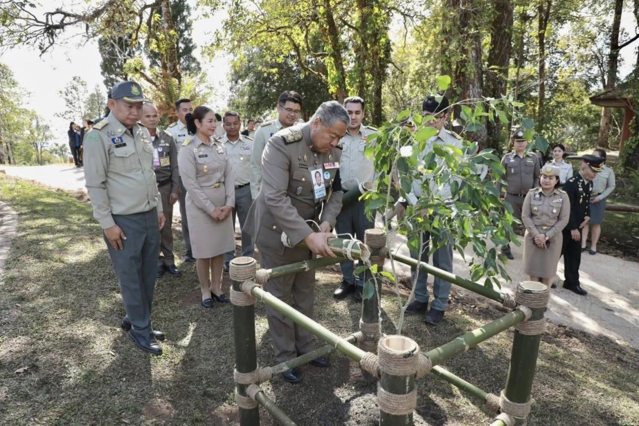 ภาพประกอบที่ 3