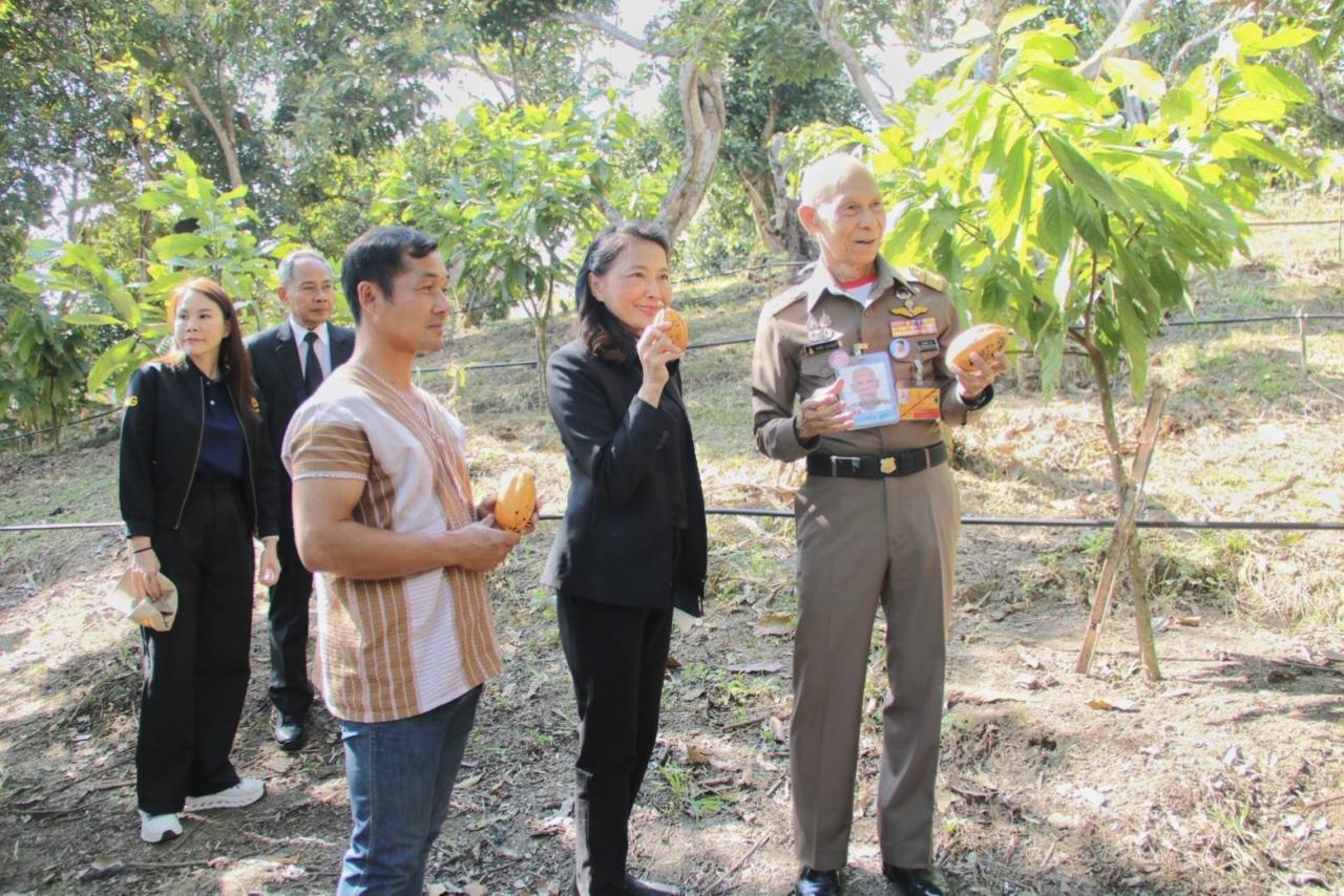 ภาพประกอบที่ 11