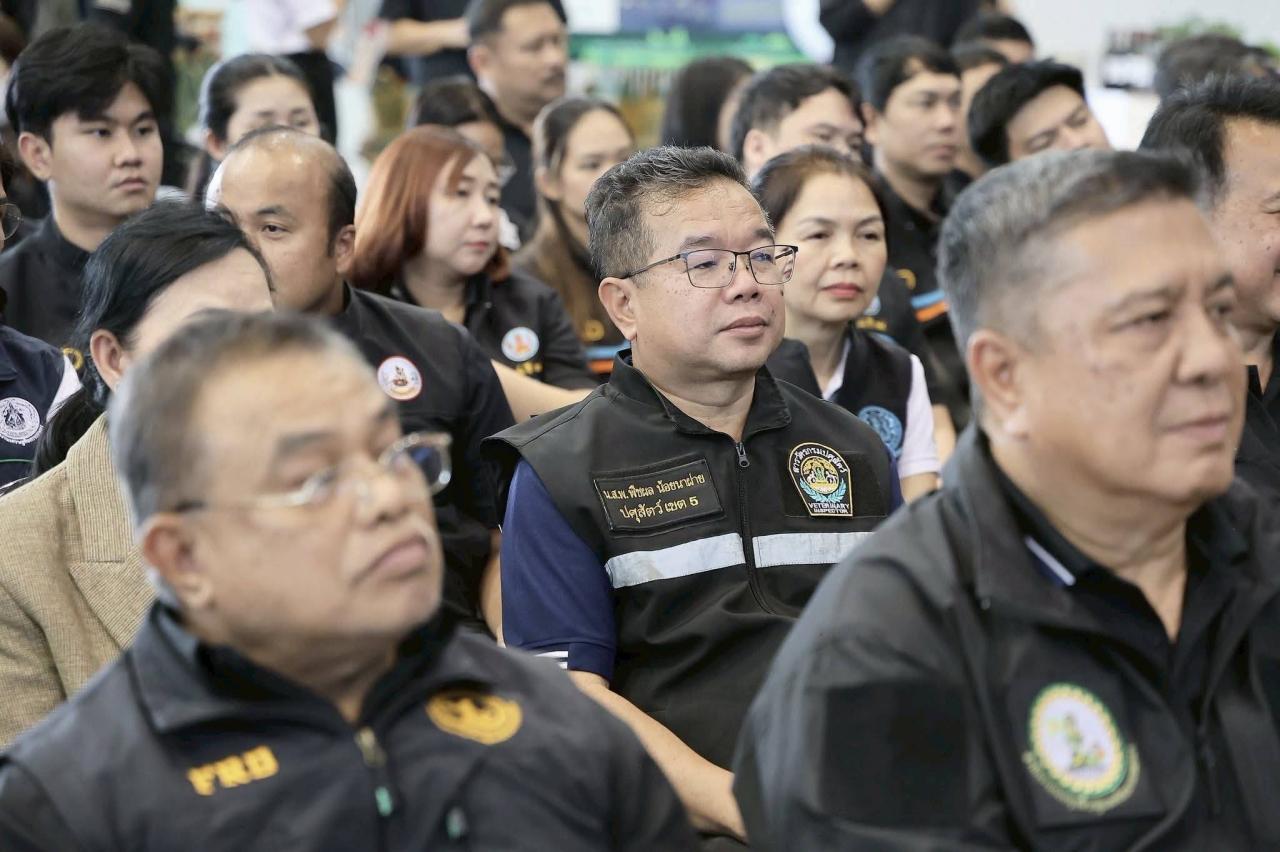 ภาพประกอบที่ 17