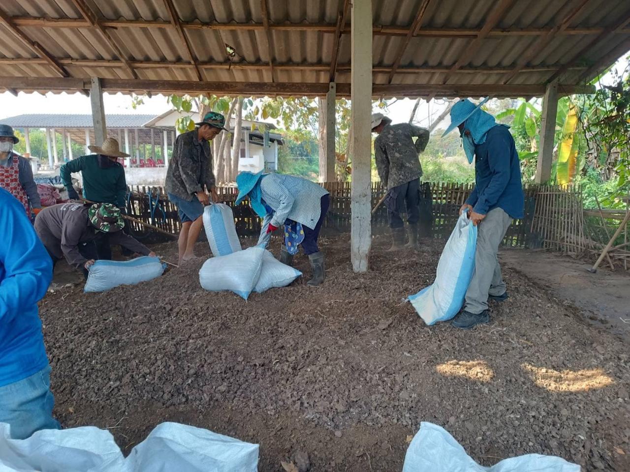 ภาพประกอบที่ 0