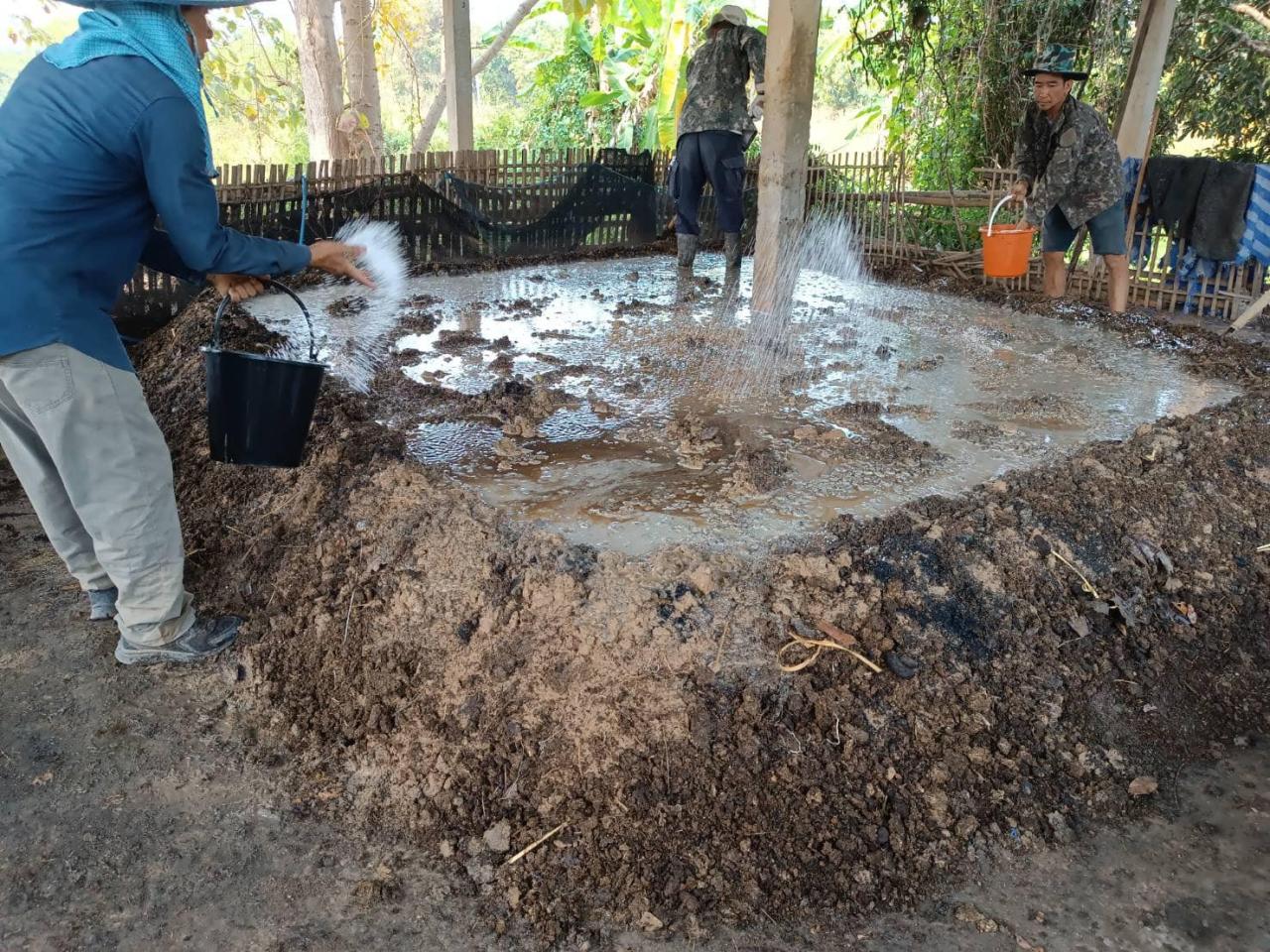 ภาพประกอบที่ 2