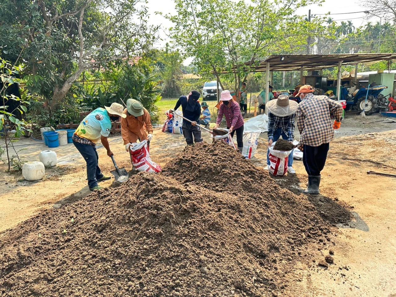 ภาพประกอบที่ 1