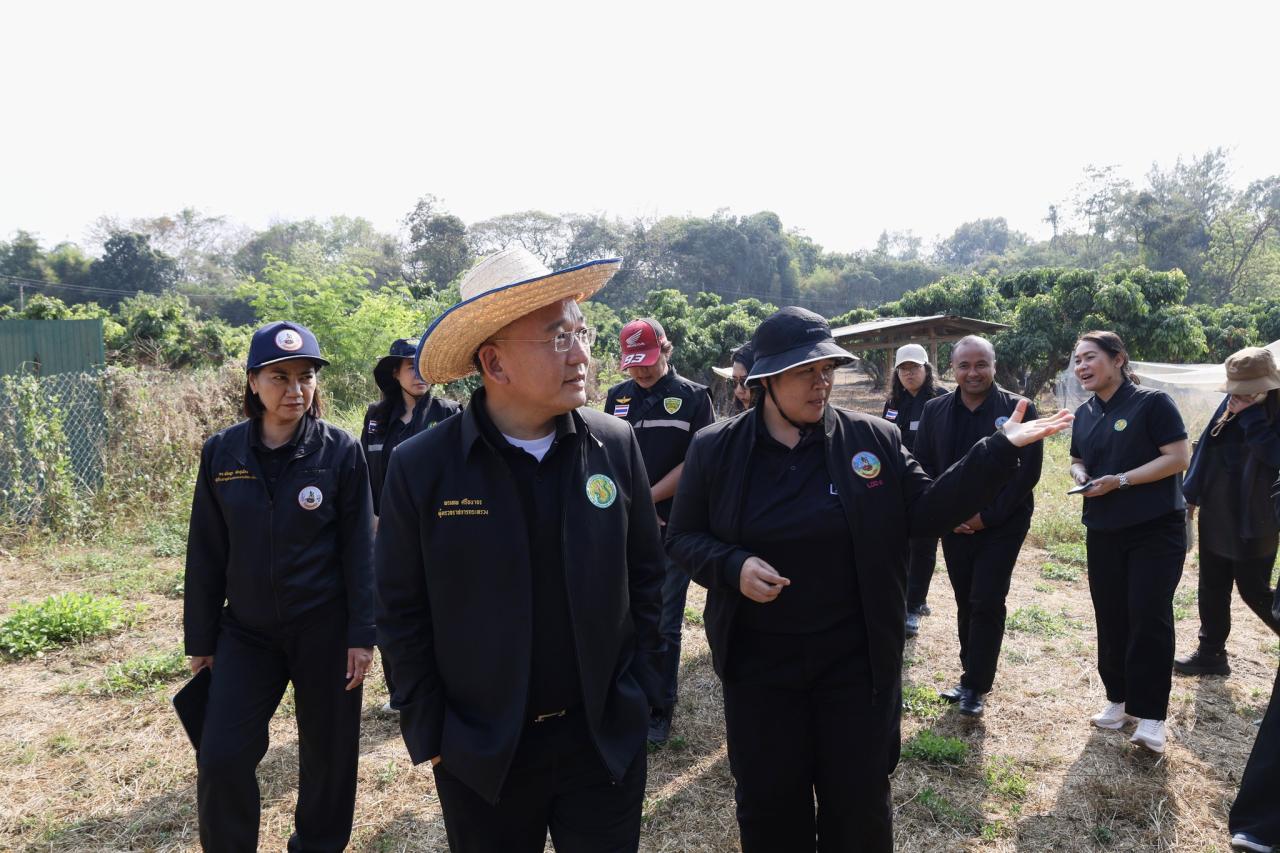 ภาพประกอบที่ 19