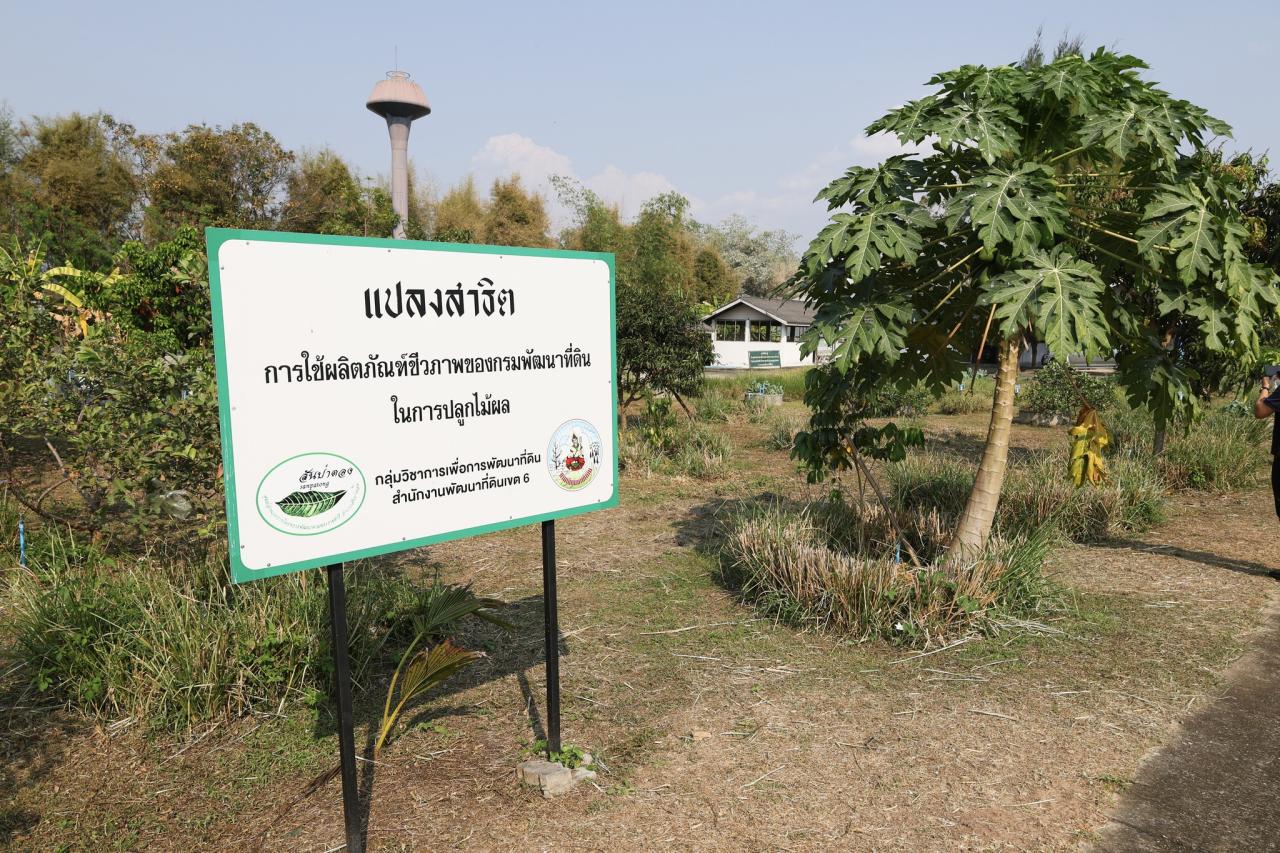 ภาพประกอบที่ 23
