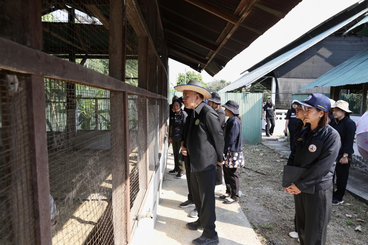 ภาพประกอบที่ 4
