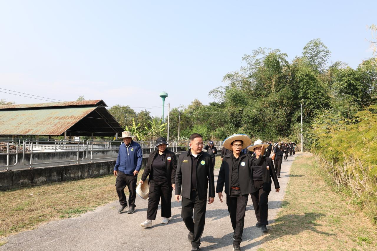 ภาพประกอบที่ 8