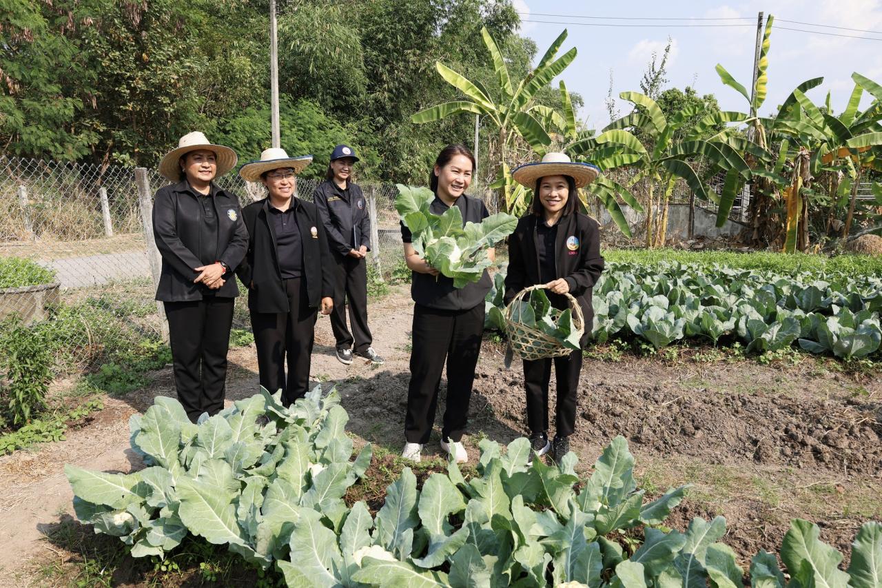 ภาพประกอบที่ 10