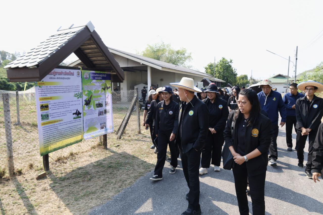 ภาพประกอบที่ 12