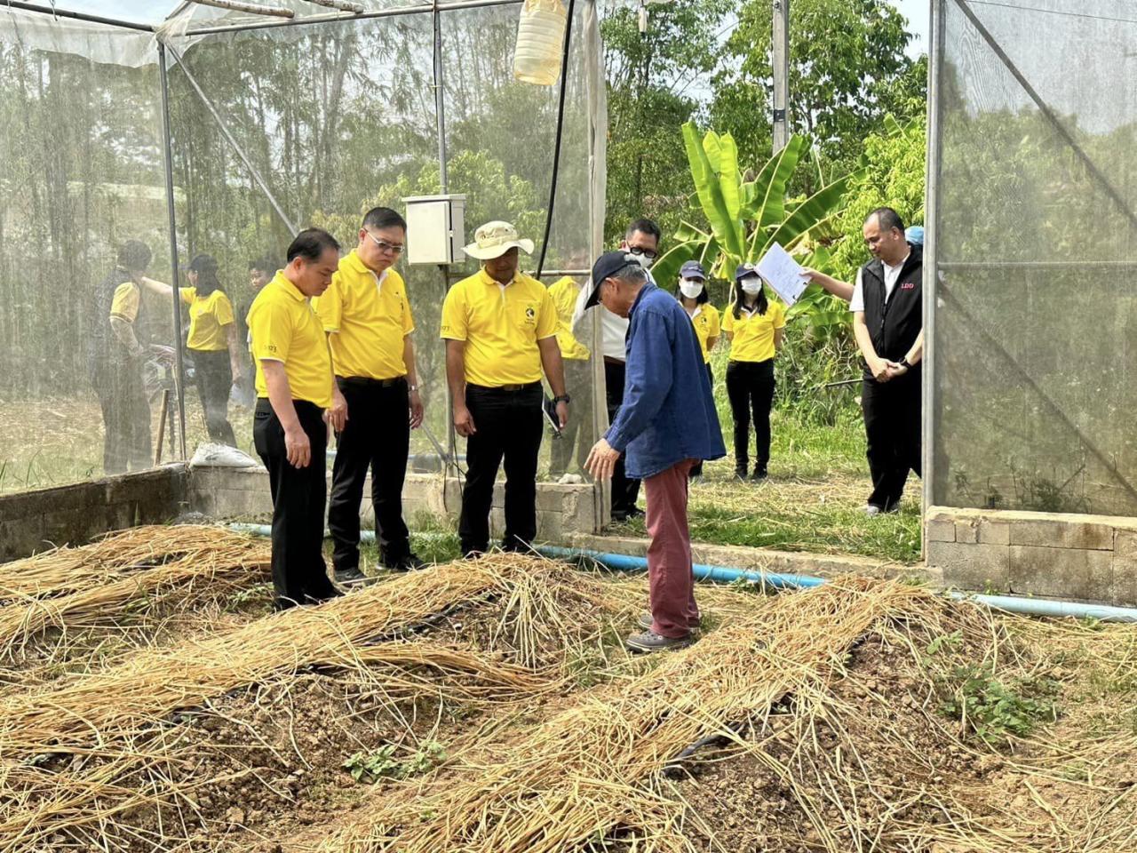 ภาพประกอบที่ 0