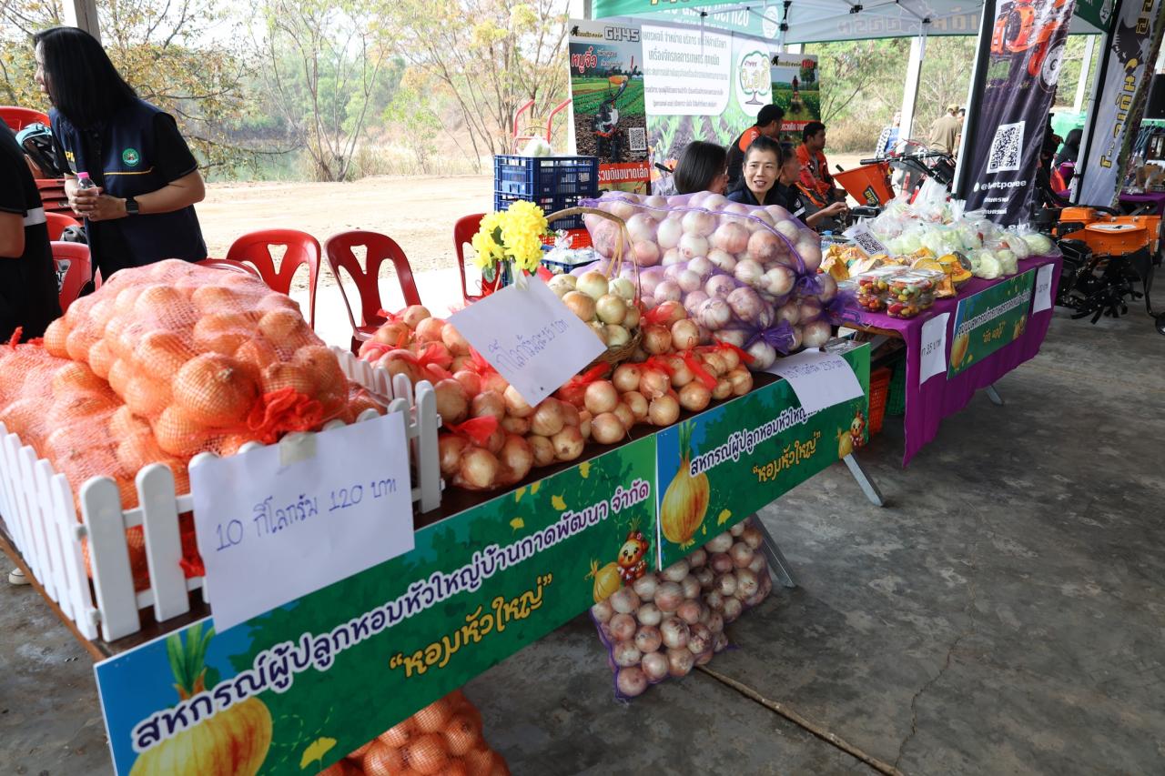 ภาพประกอบที่ 19