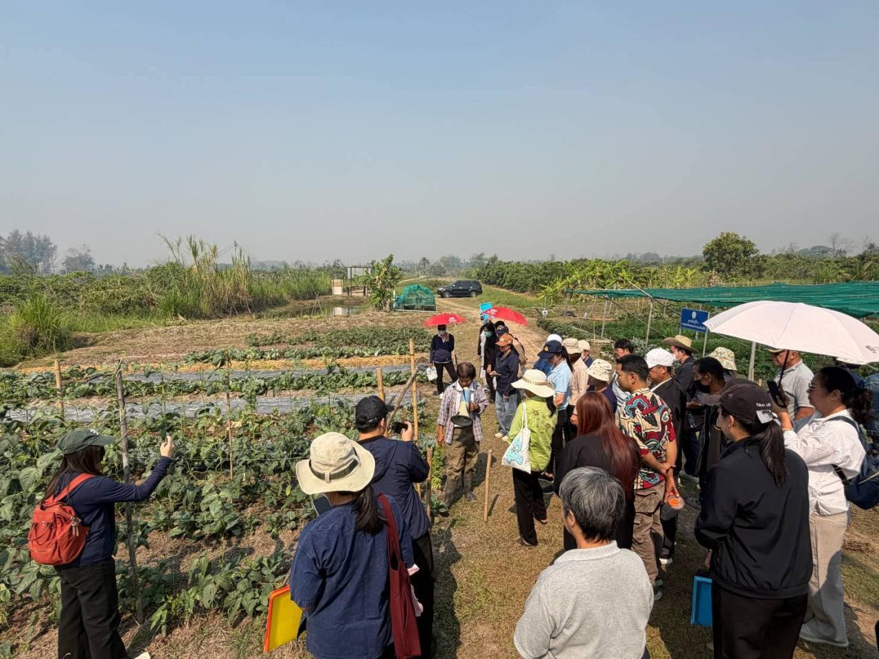 ภาพประกอบที่ 3