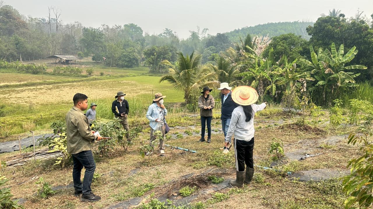 ภาพประกอบที่ 2