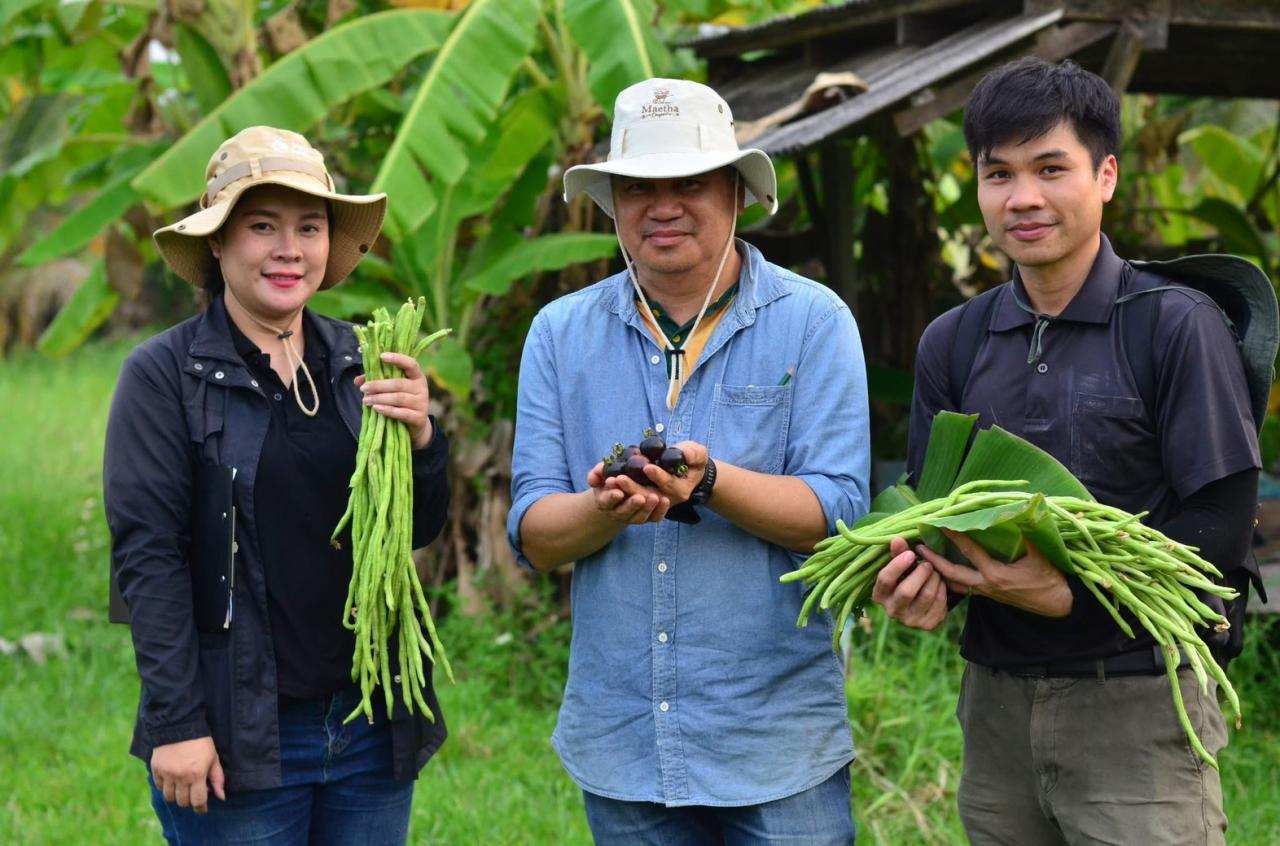 ภาพประกอบที่ 8