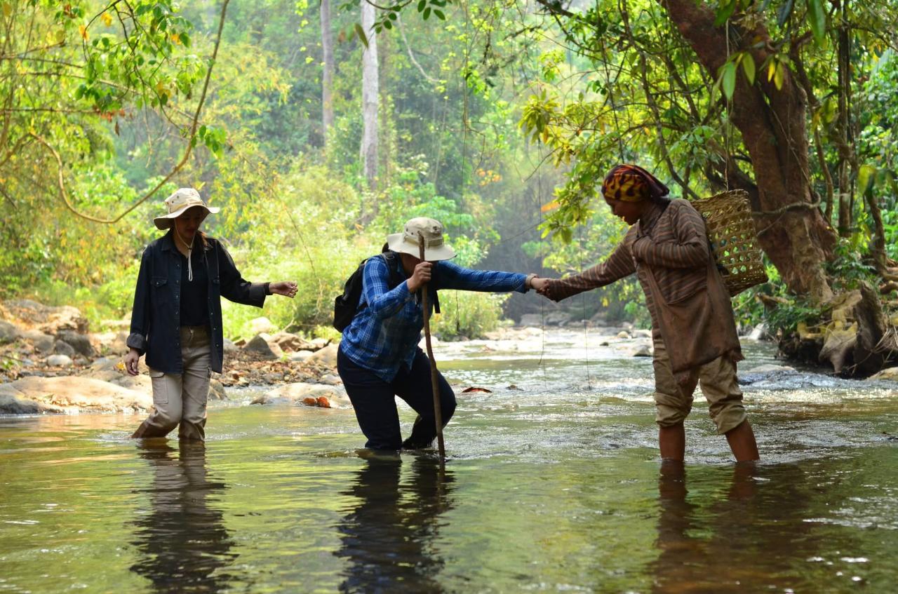 ภาพประกอบที่ 10