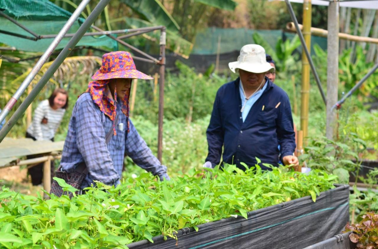 ภาพประกอบที่ 1
